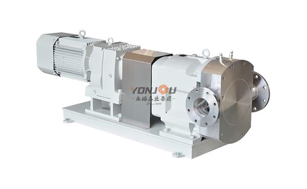 1739869918148414.jpg 轉(zhuǎn)子泵.jpg